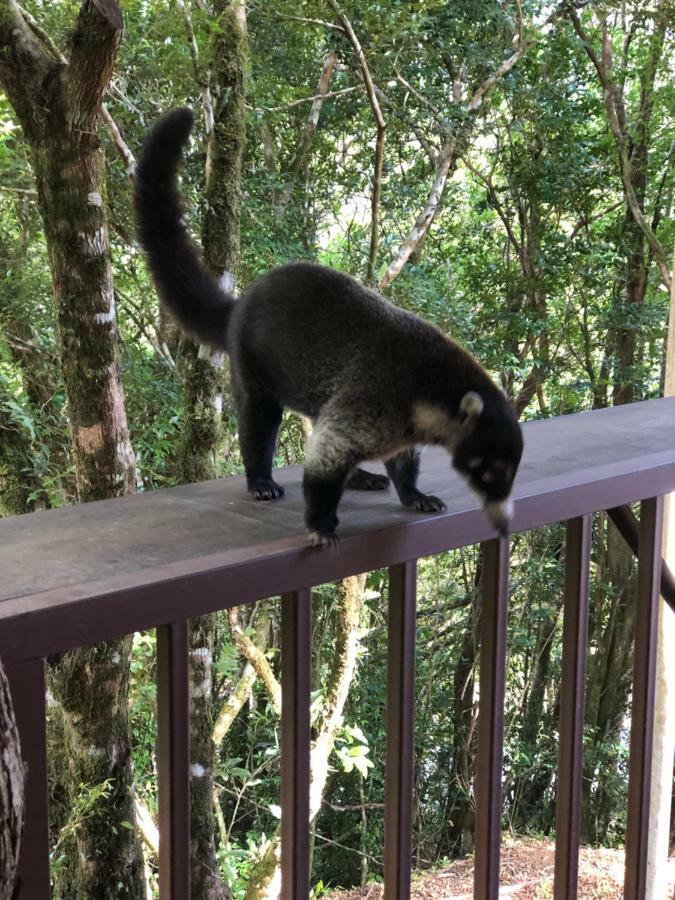 Cantos Del Bosque Monteverde Екстериор снимка